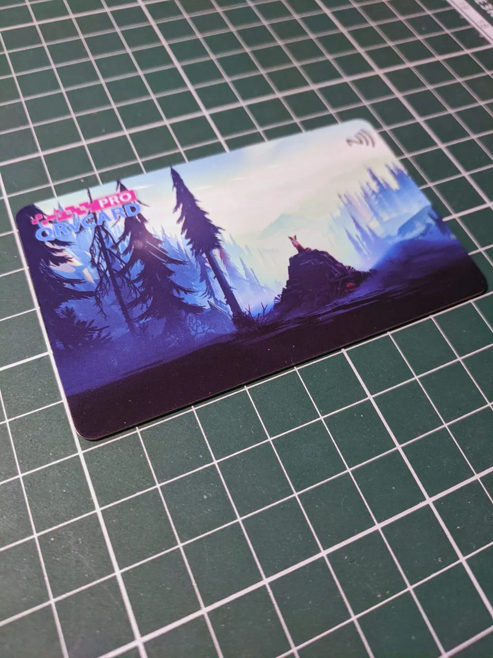 Умная NFC визитка c QR-кодом из пластика в стандартном-темном дизайне Forest Fox